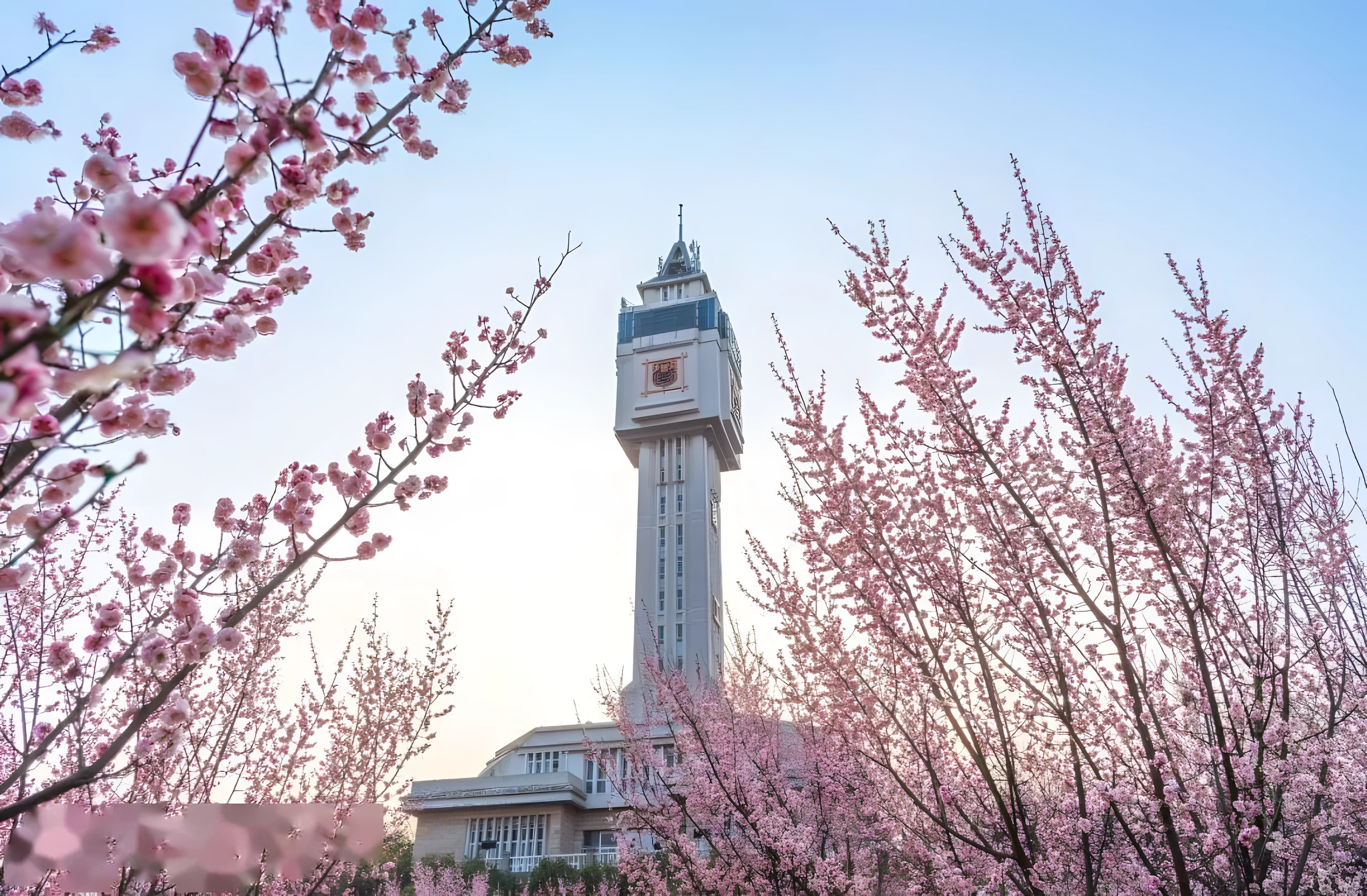 Nanjing Tech University